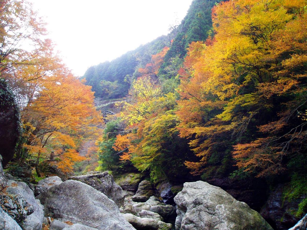 Nature Resort In Niyodo Niyodogawa Εξωτερικό φωτογραφία