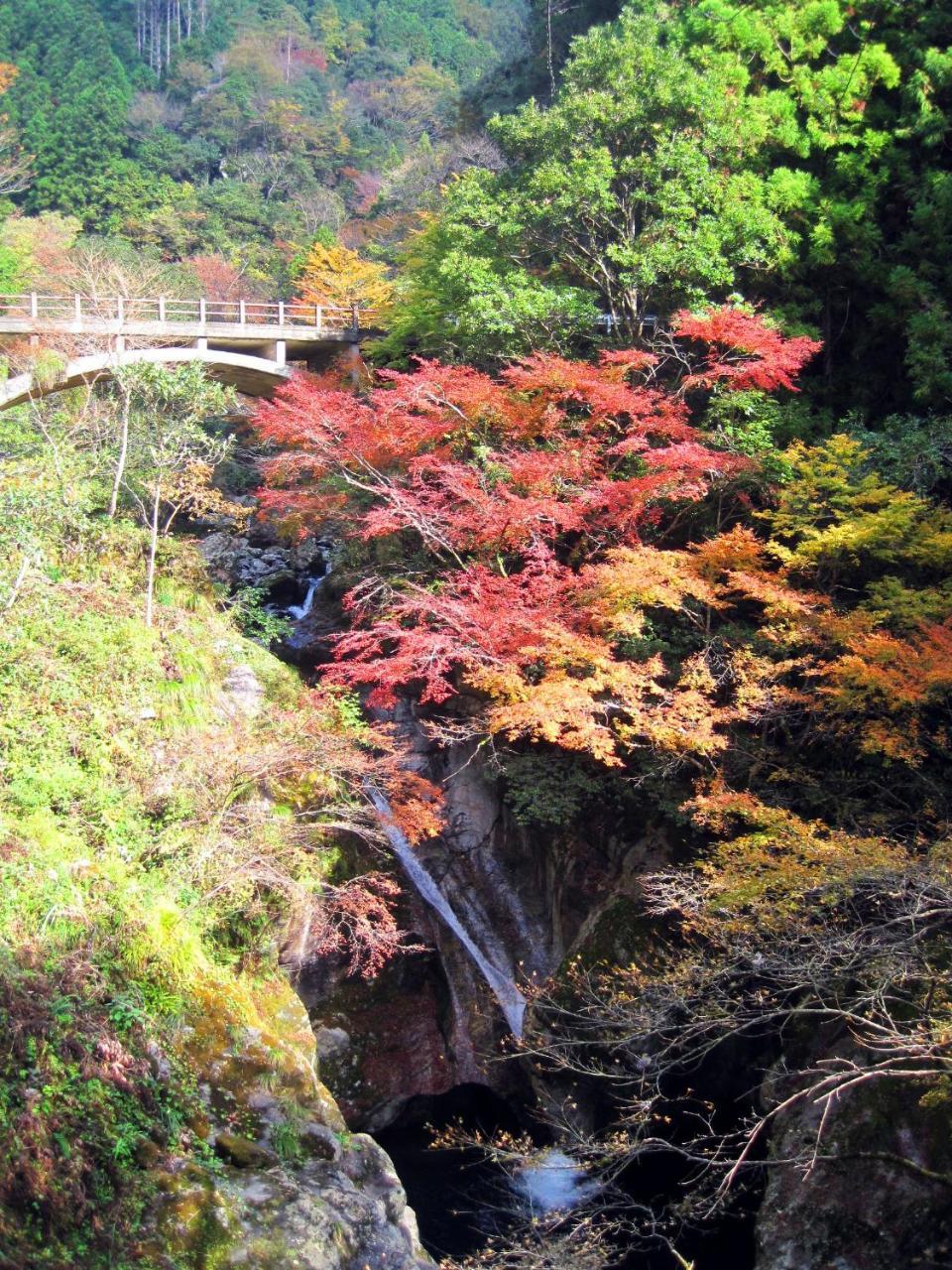 Nature Resort In Niyodo Niyodogawa Εξωτερικό φωτογραφία